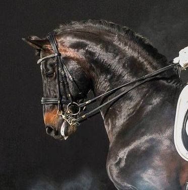 60287866_2430637070280699_3646073535157239808_n